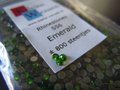 Emerald ss6 Rhinestones