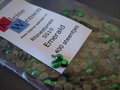 Emerald ss10 Rhinestones