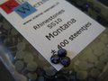 Montana ss10 Rhinestones